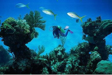 新一期日亚游戏预约榜 Switch版《十三机兵防卫圈》上榜